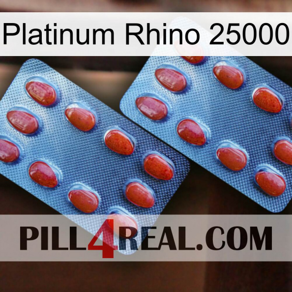 Platinum Rhino 25000 05.jpg